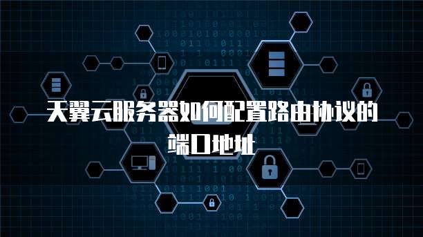 天翼云服务器如何配置路由协议的端口地址