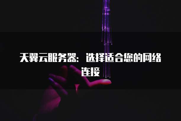 天翼云服务器：选择适合您的网络连接
