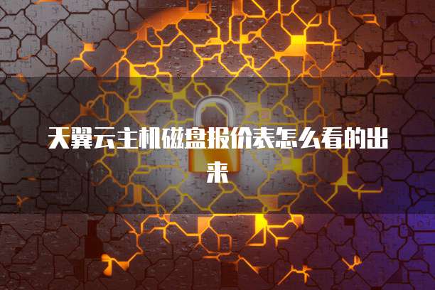 天翼云主机磁盘报价表怎么看的出来