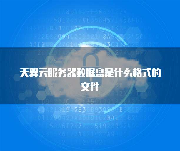 天翼云服务器数据盘是什么格式的文件