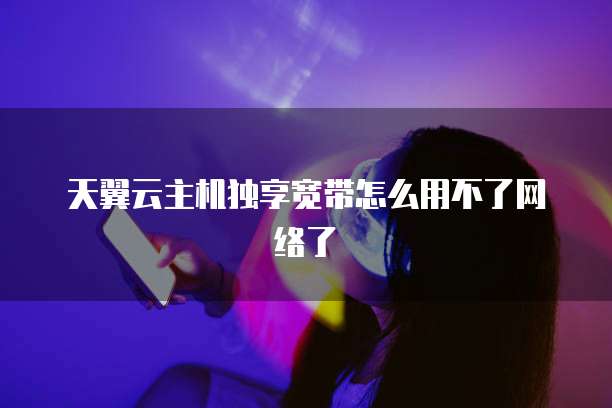 天翼云主机独享宽带怎么用不了网络了