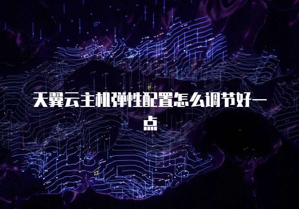 天翼云主机弹性配置怎么调节好一点