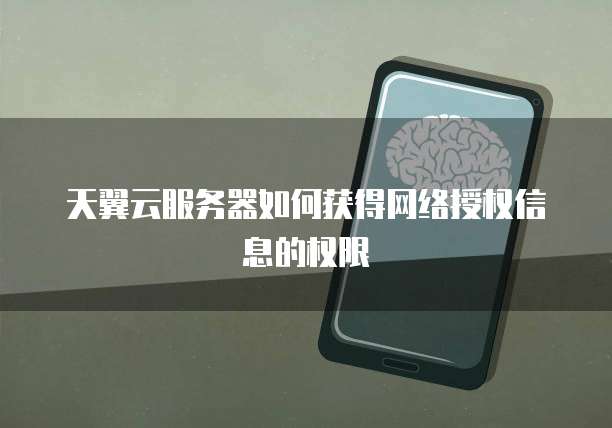 天翼云服务器如何获得网络授权信息的权限