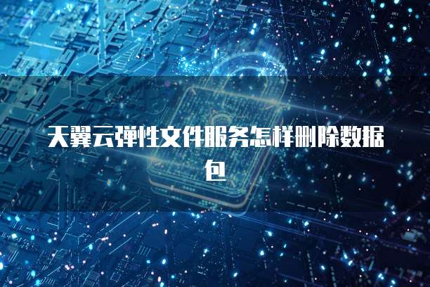 天翼云弹性文件服务怎样删除数据包