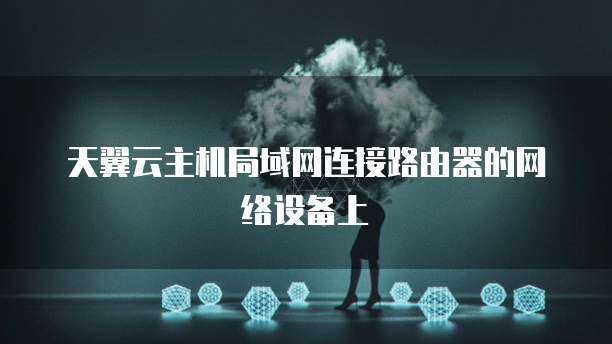 天翼云主机局域网连接路由器的网络设备上
