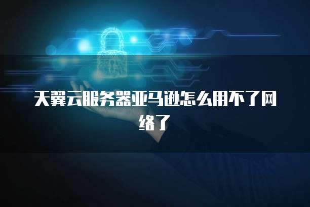 天翼云服务器亚马逊怎么用不了网络了