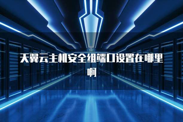 天翼云主机安全组端口设置在哪里啊