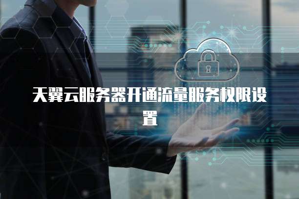 天翼云服务器开通流量服务权限设置