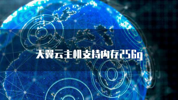 天翼云主机支持内存256g