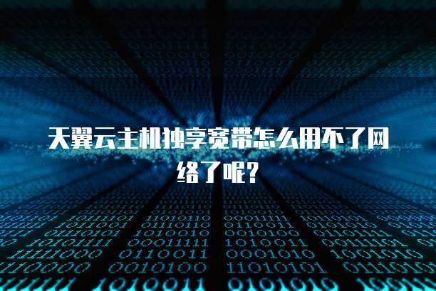 天翼云主机独享宽带怎么用不了网络了呢？