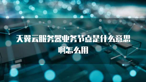 天翼云服务器业务节点是什么意思啊怎么用