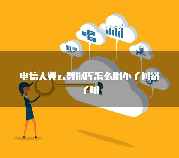 电信天翼云数据库怎么用不了网络了呀