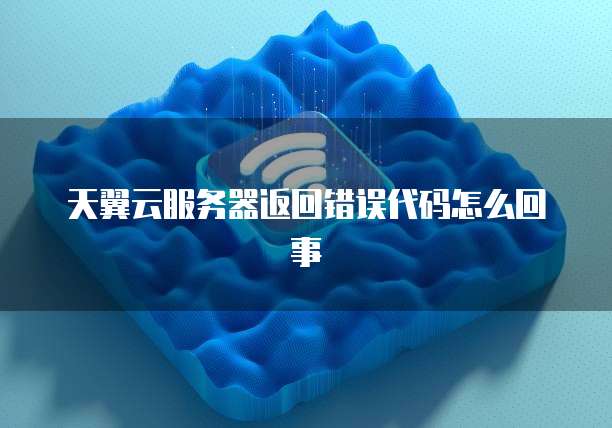 天翼云服务器返回错误代码怎么回事