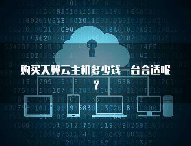 购买天翼云主机多少钱一台合适呢？