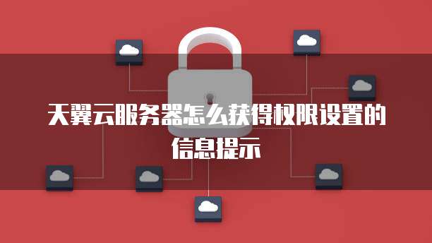 天翼云服务器怎么获得权限设置的信息提示