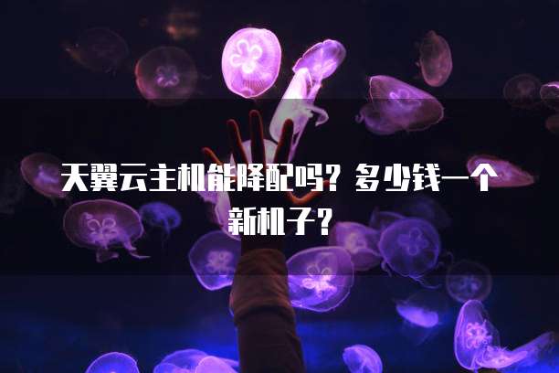 天翼云主机能降配吗？多少钱一个新机子？