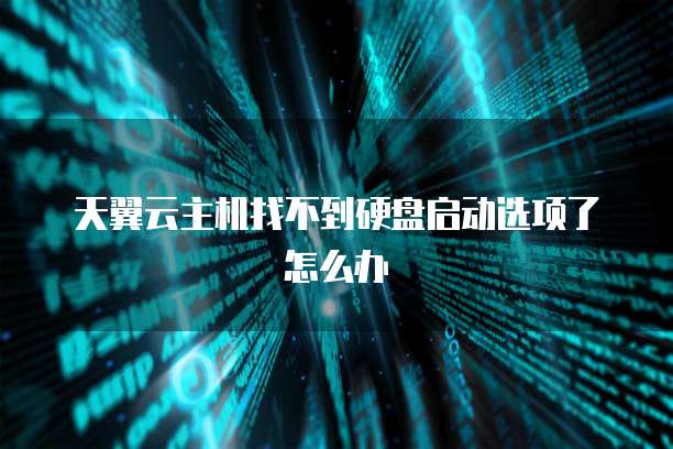 天翼云主机找不到硬盘启动选项了怎么办