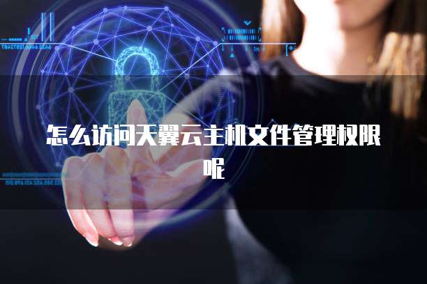 怎么访问天翼云主机文件管理权限呢
