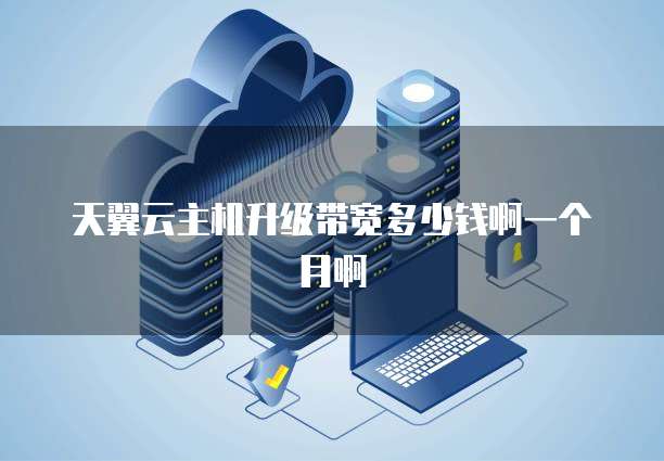 天翼云主机升级带宽多少钱啊一个月啊