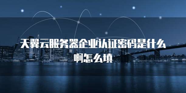 天翼云服务器企业认证密码是什么啊怎么填