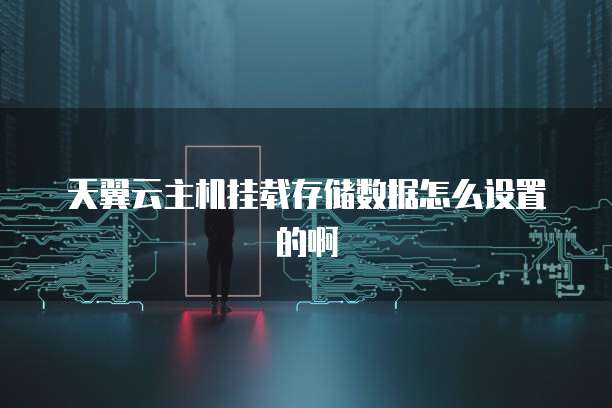 天翼云主机挂载存储数据怎么设置的啊