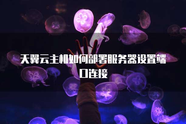 天翼云主机如何部署服务器设置端口连接
