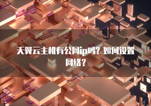 天翼云主机有公网ip吗？如何设置网络？