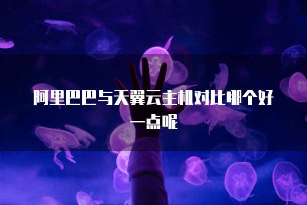 阿里巴巴与天翼云主机对比哪个好一点呢