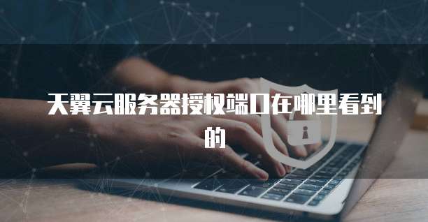 天翼云服务器授权端口在哪里看到的