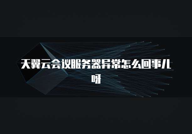 天翼云会议服务器异常怎么回事儿呀