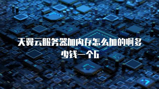 天翼云服务器加内存怎么加的啊多少钱一个G
