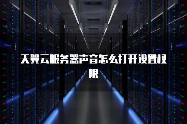 天翼云服务器声音怎么打开设置权限