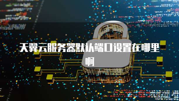 天翼云服务器默认端口设置在哪里啊