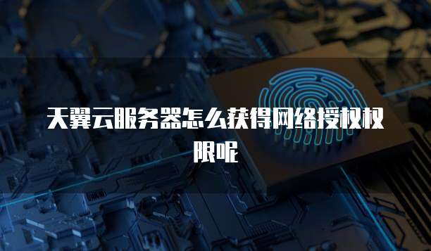 天翼云服务器怎么获得网络授权权限呢