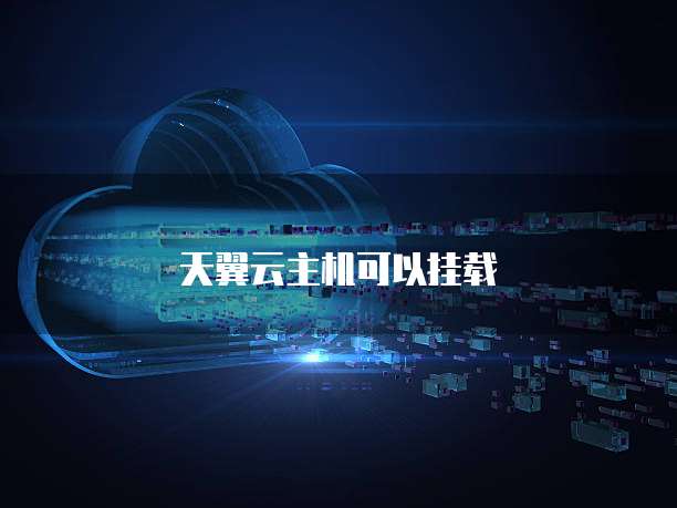 天翼云主机可以挂载