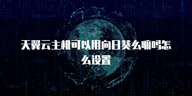 天翼云主机可以用向日葵么嘛吗怎么设置