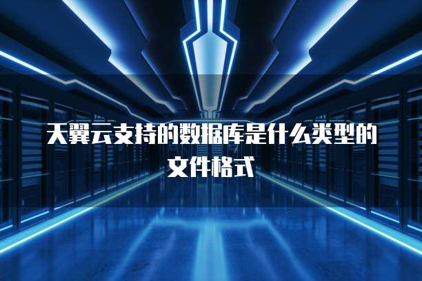 天翼云支持的数据库是什么类型的文件格式