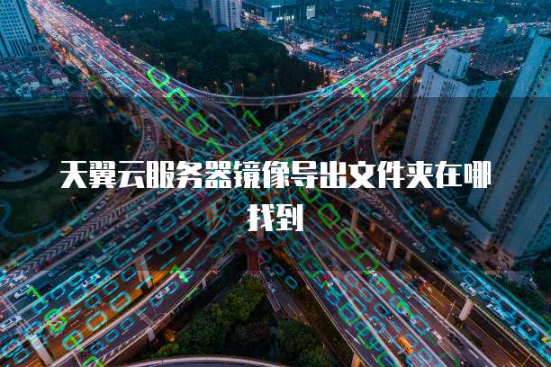 天翼云服务器镜像导出文件夹在哪找到