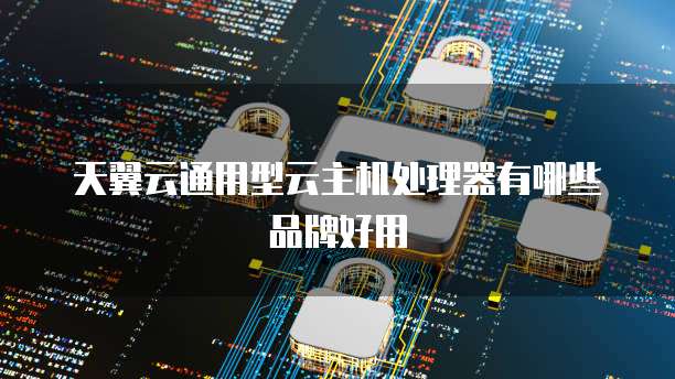 天翼云通用型云主机处理器有哪些品牌好用