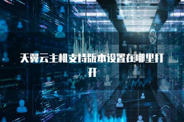 天翼云主机支持版本设置在哪里打开