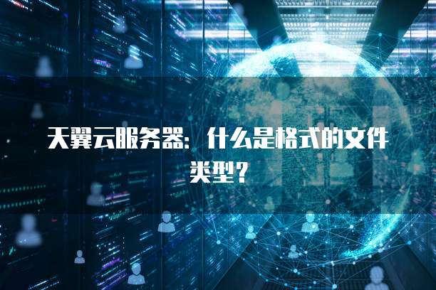 天翼云服务器：什么是格式的文件类型？