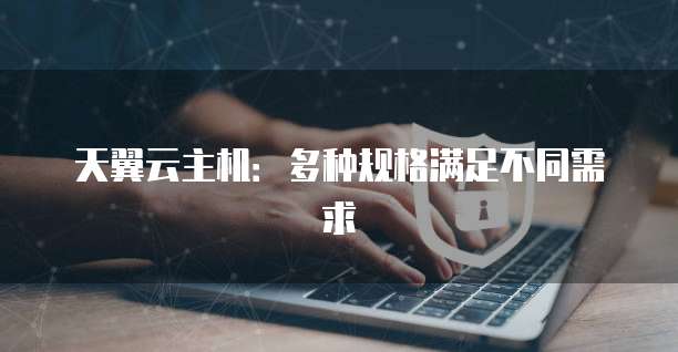 天翼云主机：多种规格满足不同需求