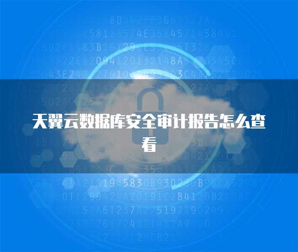 天翼云数据库安全审计报告怎么查看