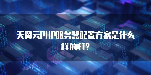 天翼云PHP服务器配置方案是什么样的啊？