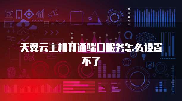 天翼云主机开通端口服务怎么设置不了