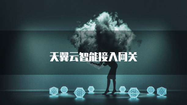 天翼云智能接入网关