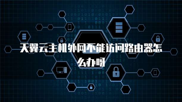 天翼云主机外网不能访问路由器怎么办呀