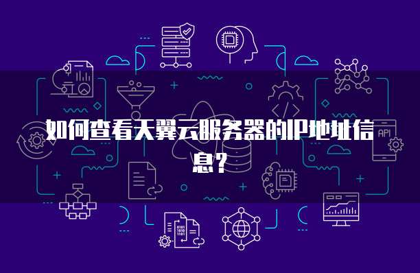 如何查看天翼云服务器的IP地址信息？