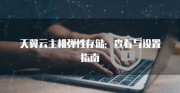 天翼云主机弹性存储：查看与设置指南