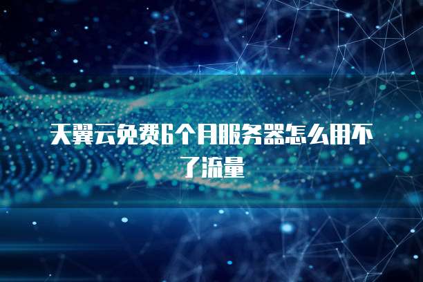 天翼云免费6个月服务器怎么用不了流量